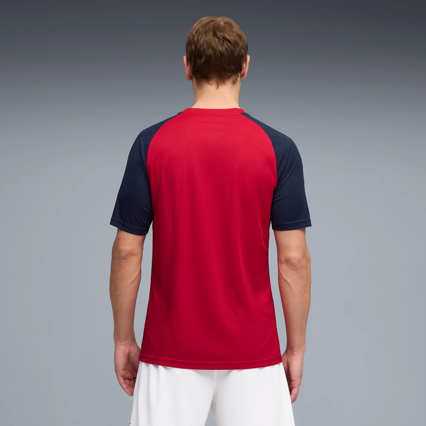 Puma 2026 Czech Republic Men's Pre-Match Soccer Jersey