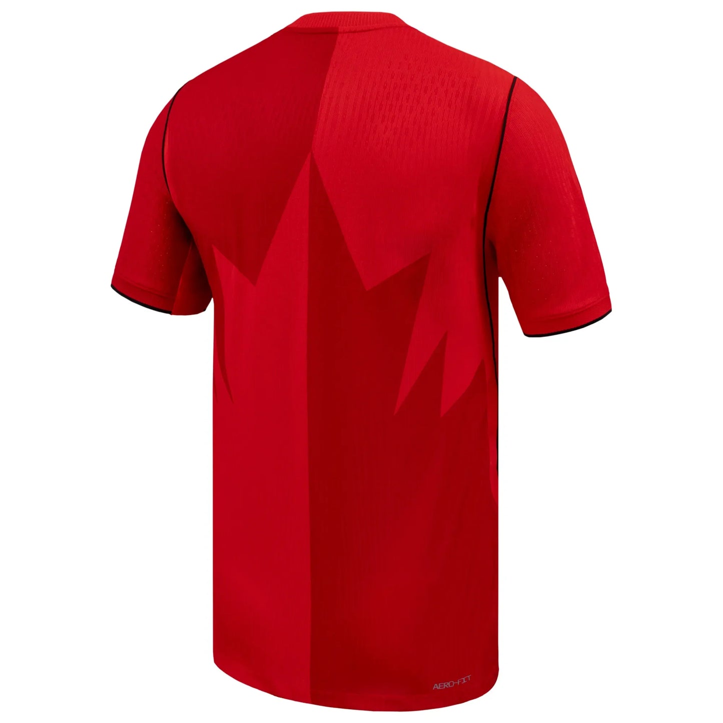 Nike 2026 Canada Men's Authentic Home Soccer Jersey