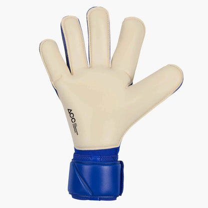 Nike Vapor Grip3 Goalkeeper Gloves