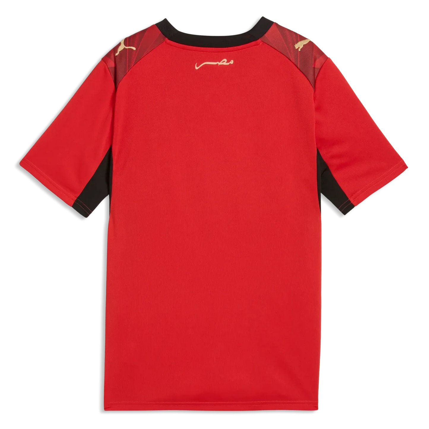 Puma 2026 Egypt Youth Stadium Home Soccer Jersey