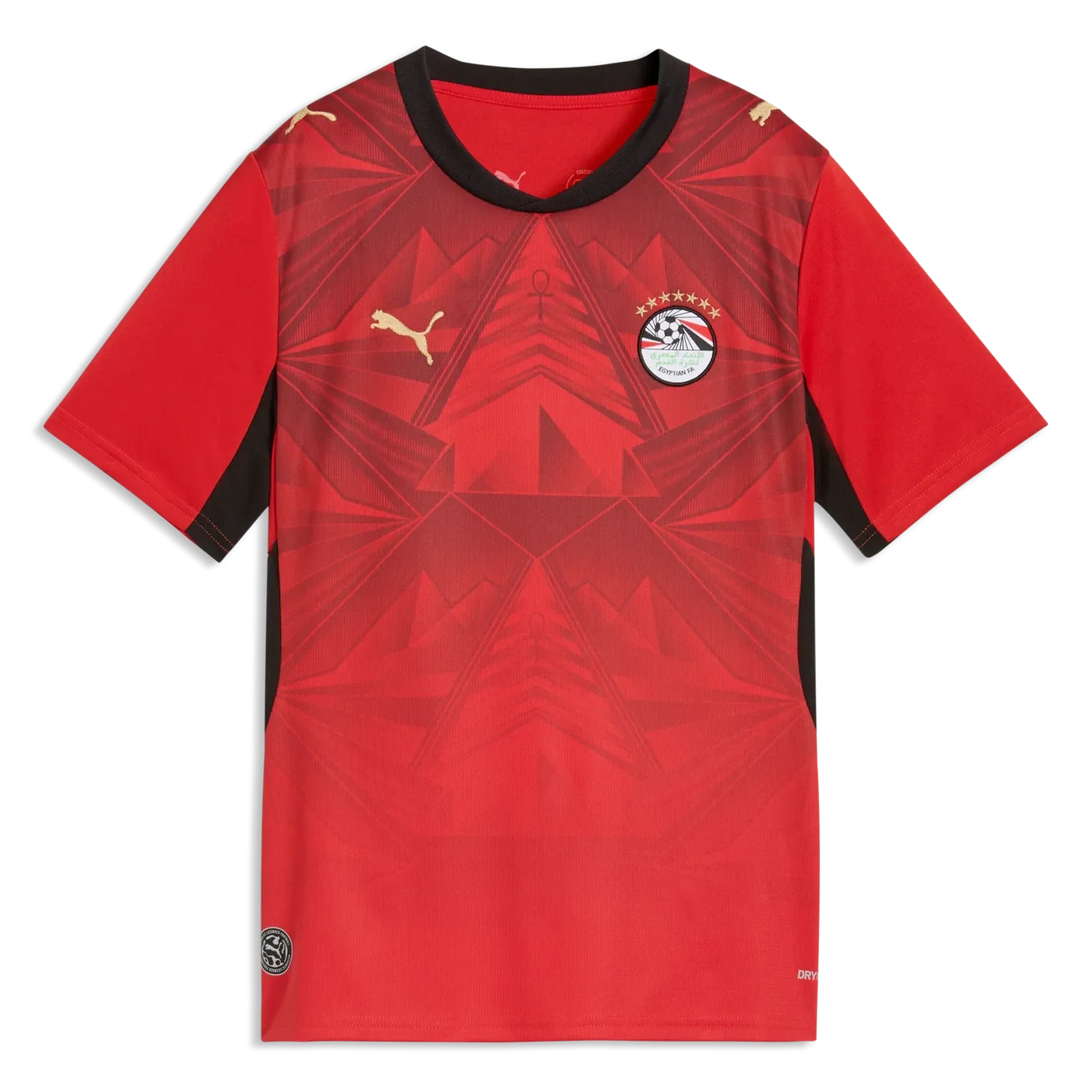 Puma 2026 Egypt Youth Stadium Home Soccer Jersey