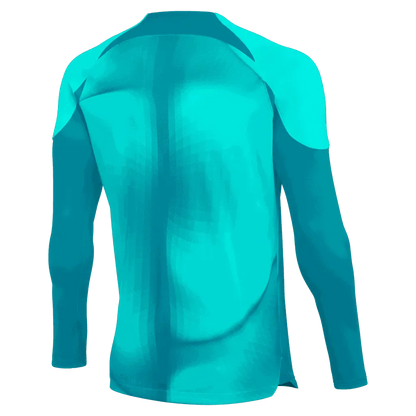 Nike Gardien IV LS Goalkeeper Jersey