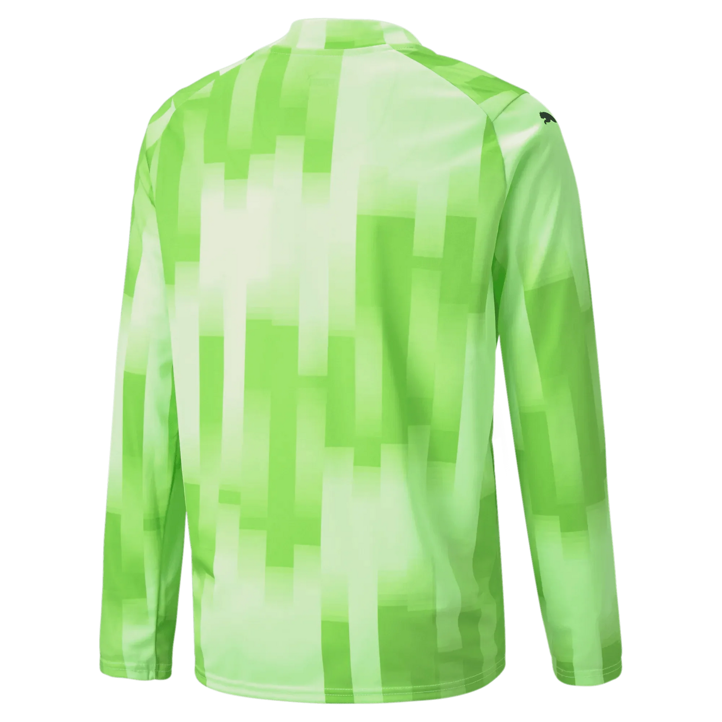 Puma Teamtarget Goalkeeper Longsleeve Youth Jersey